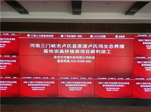 55-inch Mosaic Screen Project of Henan Lushi Chicken Breeding Base