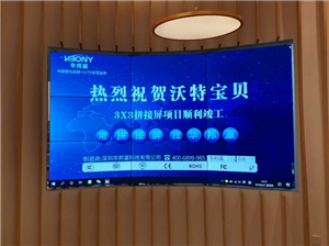 Shenzhen Water Baby Splicing Screen Project